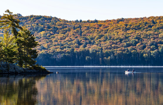 Two People on a White Canoe in a Calm Lake Surrounded by Fall Foliage