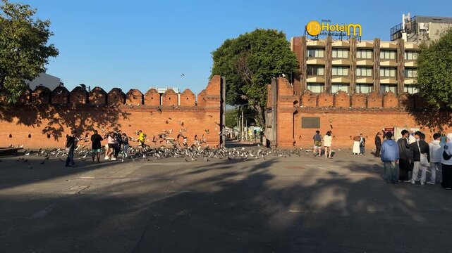 Tourists and pigeons at Tha Phae Gate in Chiang Mai