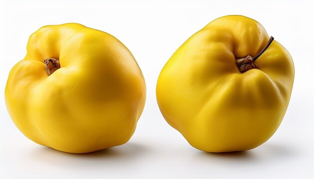 yellow quince fruit fruit isolated on a white background eps