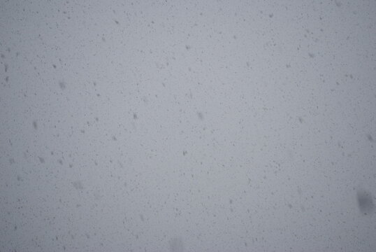 Very large snowflakes falling from a grey sky