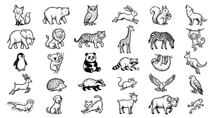 Obraz premium Collection of Hand-Drawn Forest and Wild Animals