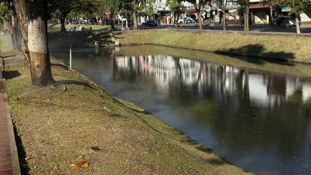City moat reflecting buildings and trees in Chiang Mai