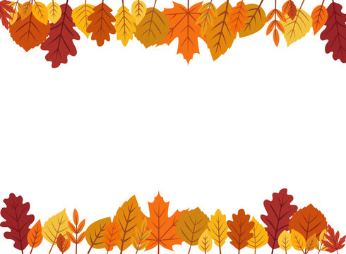 Different types of autumn leaves on a white background, vector