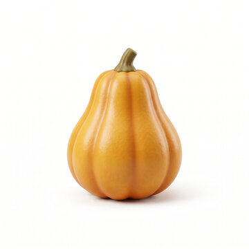 A single organic vibrant orange butternut squash isolated on a clean white background, high quality 3d render of autumn harvest vegetable for seasonal food marketing visuals