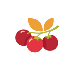 Obraz premium Three red berries on a branch with leaves