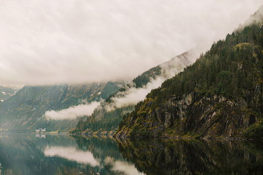 Thick low cloud rolls down a steep pine covered cliff and trails across a still fjord at dawn