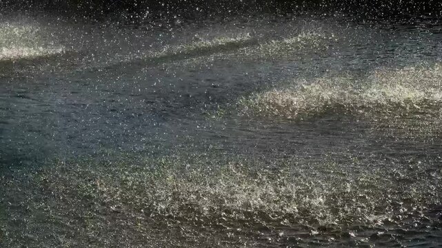 Raindrops falling and splashing on water surface