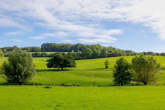 Beginning of autumn landscape, The terrain hilly countryside in border of Netherlands and Belgium, Lush green grass on hillside with trees and forest, Sint-Martens-Voeren, Belgian province of Limburg.
