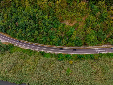 Asphalt road, high angle view of route through forest and reeds. Multiple cars drive along a curved paved path bordered by lush deciduous trees and tall grass.