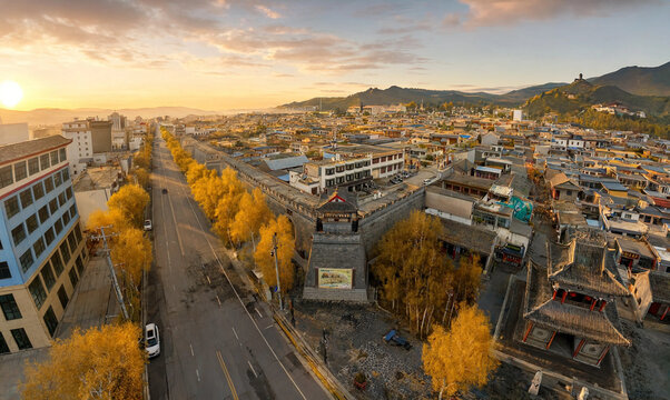 Autumn street scene with golden trees and urban buildings during sunset