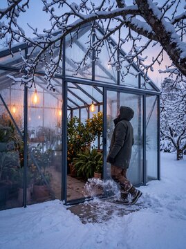 A person in winter clothing entering a warm illuminated greenhouse full of lush plants surrounded by a snowy garden