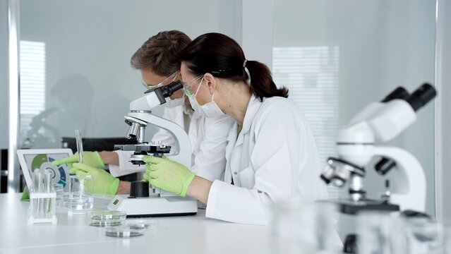 Medical researchers conducting scientific experiments. Examining samples under a microscope while cross referencing data on a tablet