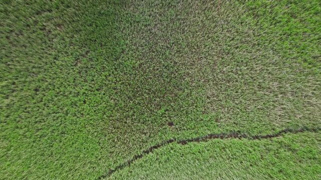 Top Down over Marshes over River Dart from a drone, Stoke Gabriel, Totnes, Devon, England, United Kingdom