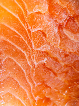 Close view of sliced salmon showing texture and color details