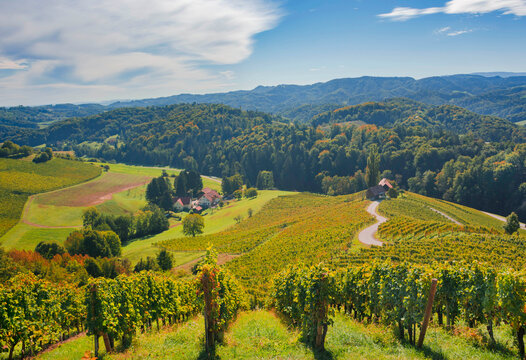 Famous Wine Road in the shape of a heart, a charming region on the border between Austria and Slovenia with green rolling hills, vineyards, picturesque villages and wine taverns
