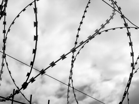 Perimeter security. Razor wire barrier protects restricted areas, prisons, military facilities and industrial sites from unauthorized access and intrusion.