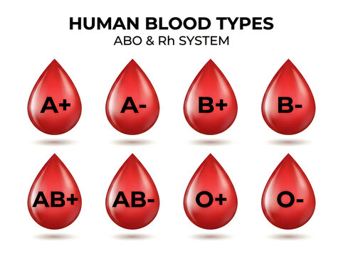 Human blood types abo and rh system illustration