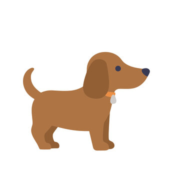 Brown dog with orange collar isolated on transparent background