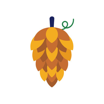 Flat design hop cone illustration