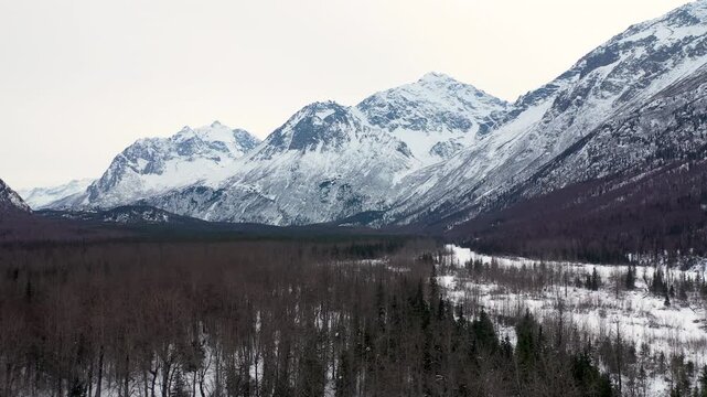 Majestic Winter Mountain Landscape Over Bare Trees and Wilderness Valley