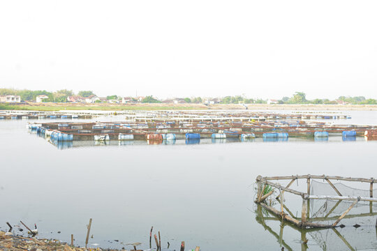 Traditional floating fish farming cages on calm lake water