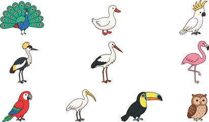 Fototapeta premium Cute Cartoon Birds Vector Illustration Set Featuring Peacock Duck Cockatoo Crowned Crane Stork Flamingo Macaw Ibis Toucan and Owl