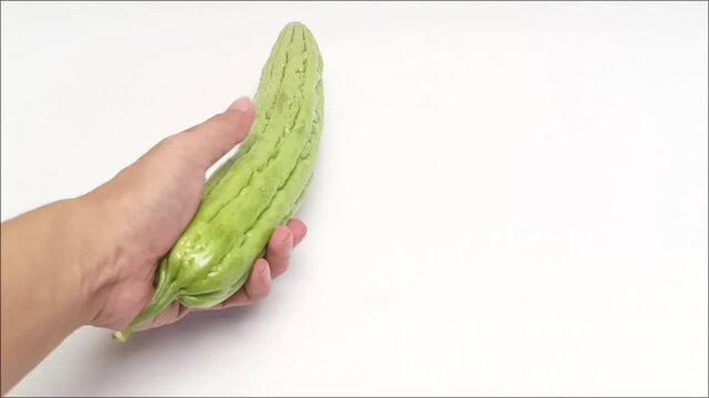 Hand Holding and Rotating Fresh Green Bitter Gourd