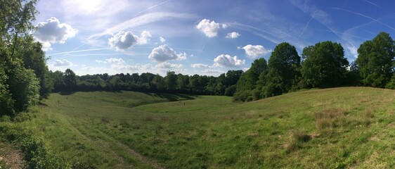 Fototapeta premium Panoramic green landscape with trees and sky