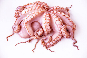 Whole octopus macro, detailed view tentacles, raw seafood, close-up texture, marine delicacy, exotic ingredient, suction cups pattern © kittyfly