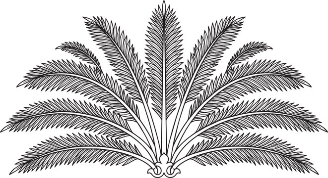 Detailed black and white vintage style of a palm leaf fan arrangement with symmetrical fronds on a white background