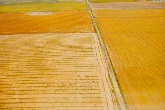 aerial view of Denver city, suburban, road, house and farm beautiful landscape