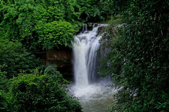 waterfall in green forest