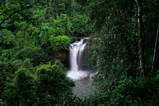 waterfall in green forest