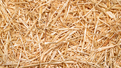 Close up texture of straw © Logan