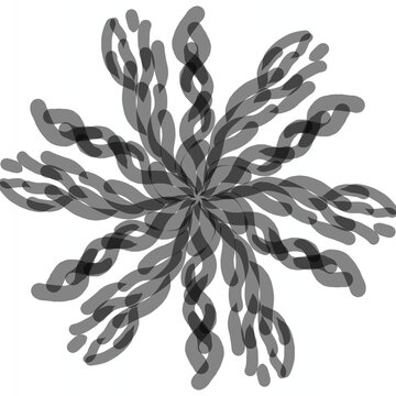 set of flower and isolated on white background
