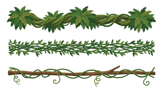 Tropical jungle vine borders vector illustration set with green lianas creepers and leaves isolated on white background