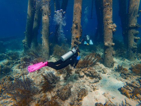 SCUBA divers swim among pier structures and a coral reef on Bonaire