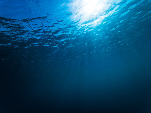 Sunlight filters down through blue ocean in the Caribbean
