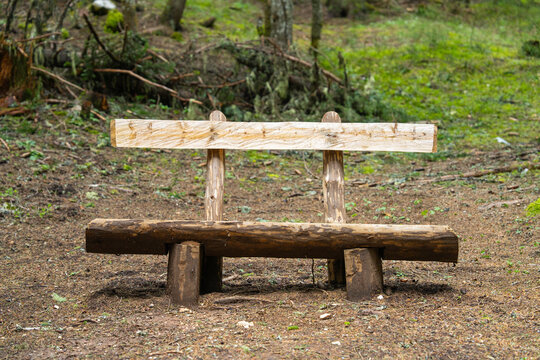 A handmade rustic bench built from raw logs and a wooden plank stands on bare earth in a forest clearing, surrounded by moss and undergrowth.