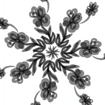 set of black and white flowers isolated on white background