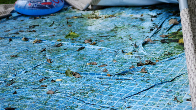 Deflated or Broken Pool Series - Close up of Mossy Pool Liner