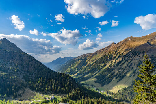 Breathtaking summer day in wild mountain with coniferous forest and green slopes. Mountain landscape with meadow. Mountainous landscape with cloudy sky. Scenic green hill mountain
