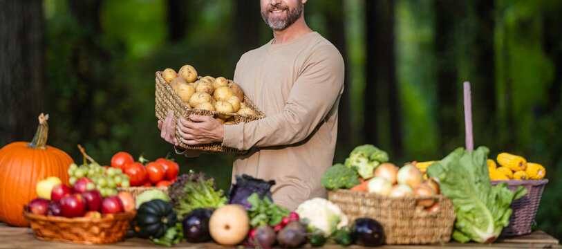 Greengrocer harvesting potato. Autumn vegetable harvest. Agriculture crop. Farmer food market. Man farmer with potato vegetable cropped view. Organic food and eco farming. Greengrocer man outdoor