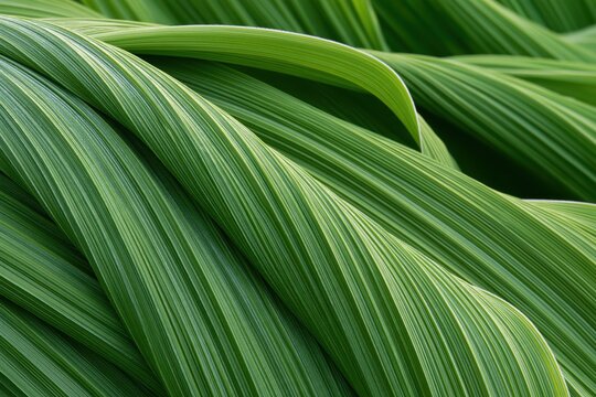 Green Leaves with Parallel Veins