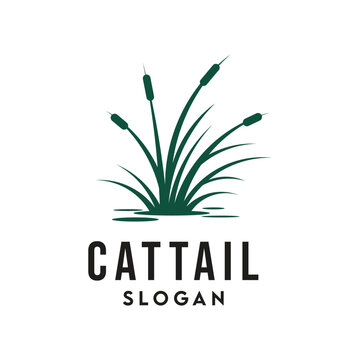 Simple vector-style cattail plant icon on white background with bold black text placeholder