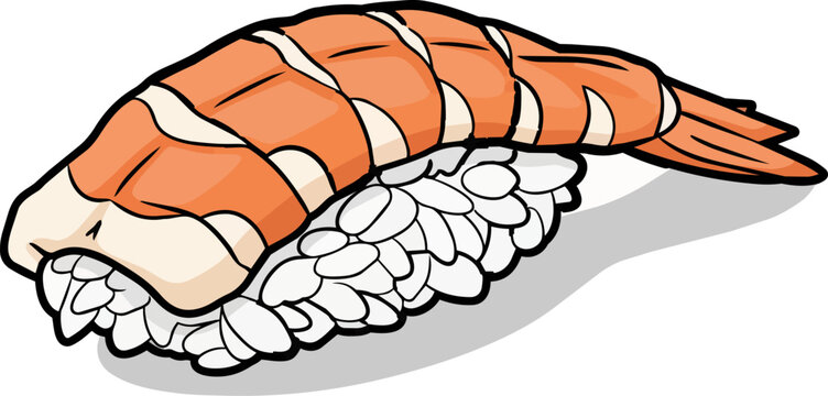 A pristine piece of cooked shrimp nigiri sushi with orange ebi prawn topping a compact bed of white rice