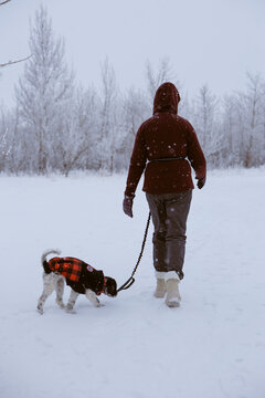 Woman walking with her dog in a snowy field