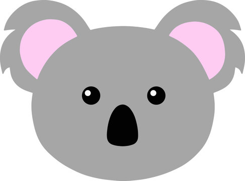 koala