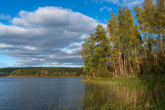 Ladoga Skerries National Park near the village of Lumivaara on a sunny autumn day, Republic of Karelia, Russia