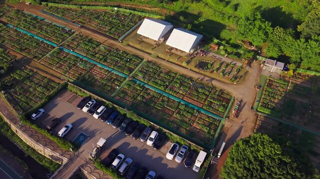 Parallax aerial view over Cheongnyong community garden in Seocho gu, Seoul, South Korea, showing a full parking lot beside leased vegetable plots, canopy tents and stone pond